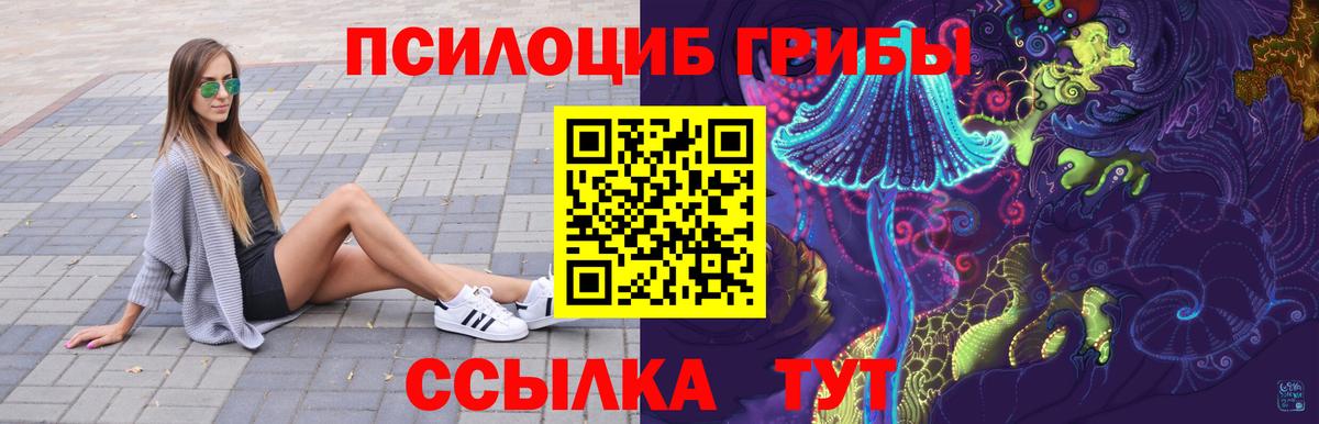 Курск  хочу   Вход с VPN  Галлюциногенные грибы Psilocybine cubensis 