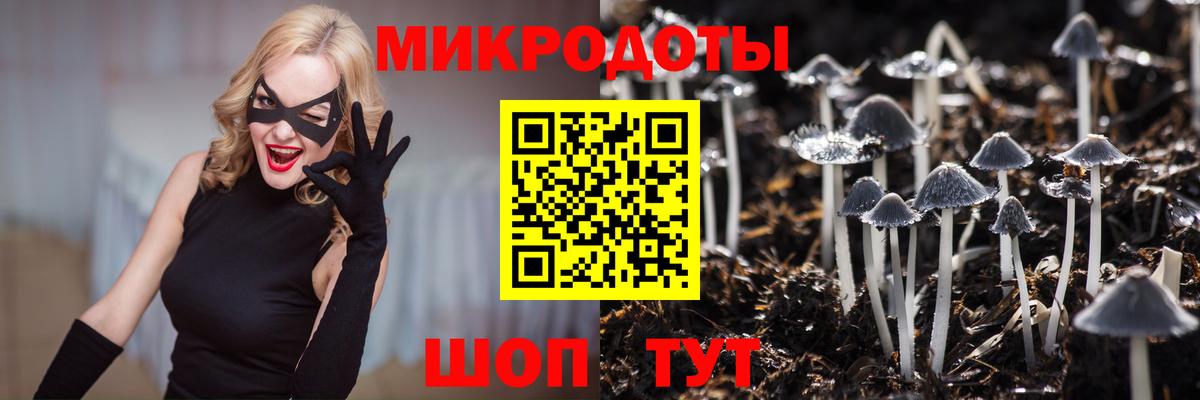 Галлюциногенные грибы прущие грибы Курск